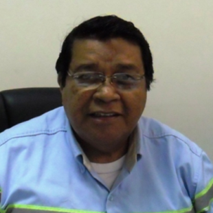 Dr. Elmer Pineda - Instituto de Seguridad Industrial y Salud Ocupacional – INSISO